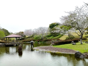 Japanese garden.jpg